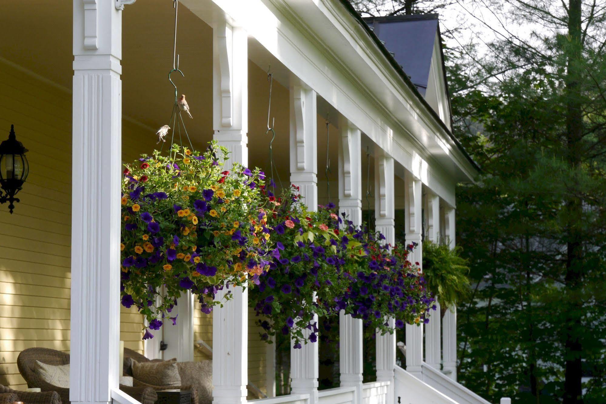 The Jackson Hotel Woodstock Exterior photo